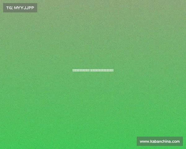 皇马恢复训练备战新赛季 阿隆索征召青训小将填补阵容空缺 皇马恢复训练备战新赛季 阿隆索征召青训小将填补阵容空缺