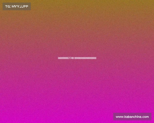 费内巴切主席与恰20会面 聚焦球员薪资及国际米兰转会要价问题