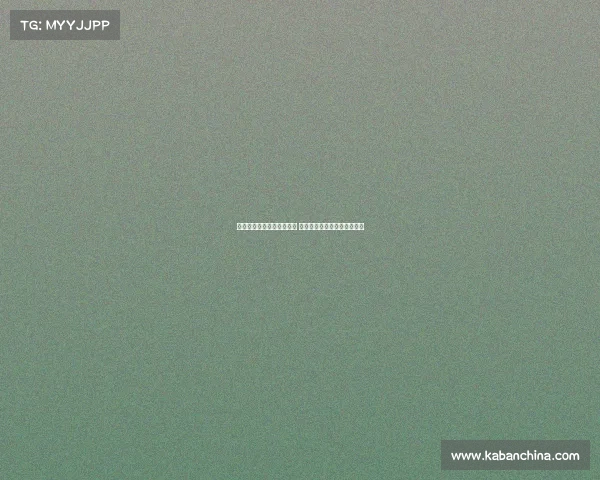 达拉斯独行侠的崛起与挑战 新时代篮球风云中的不懈追求