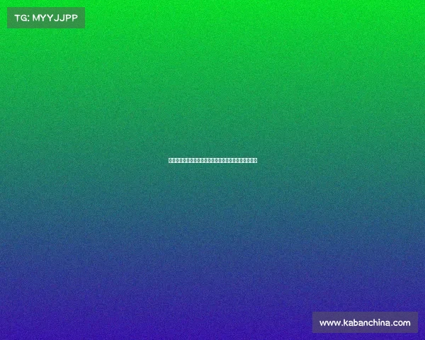 迪马济奥：罗马难以满足狼队对法比奥席尔瓦的高额要价