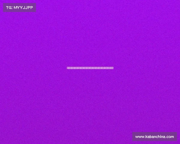 精彩德甲赛事全程直播，聚焦每场进球与战术博弈，带你走进足球盛宴